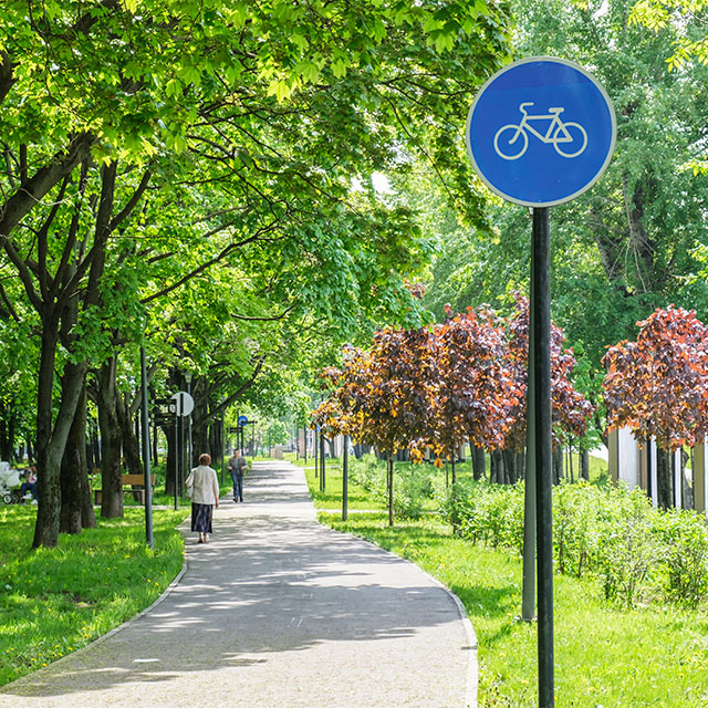 Ein Fahrradweg im Park